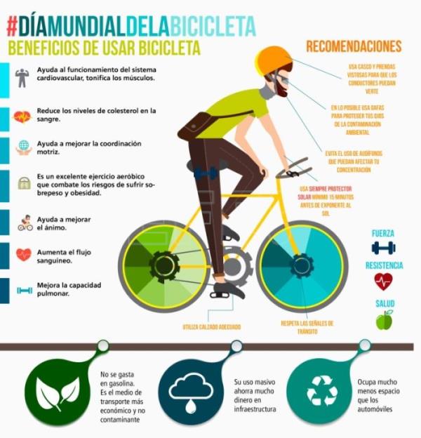 /DiaMundial Bicicleta.jpg